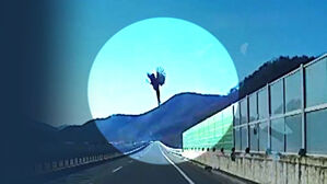 날갯짓에 뻥 뚫린 방음벽&hellip;박살난 '차 앞유리', 책임은?