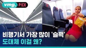 vmg. P!CK 비행기서 가장 많이 '슬쩍' 도대체 이걸 왜?