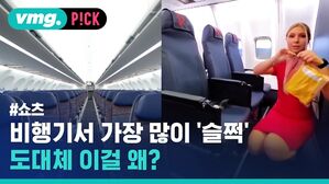 vmg. P!CK #쇼츠 비행기서 가장 많이 '슬쩍' 도대체 이걸 왜?