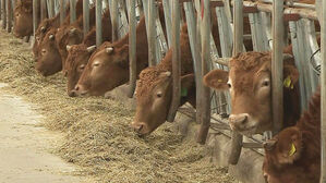 제주자치도 "전국 최초 저메탄 사료 공급"