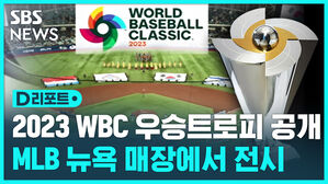 [D리포트] 2023 WBC 우승 트로피 공개…MLB 뉴욕 매장에서 전시