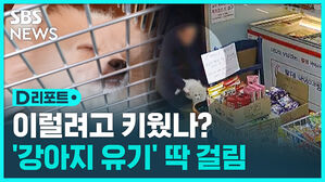 [D리포트] 무인점포에 강아지 두고 사라진 남성…"유기 추정"