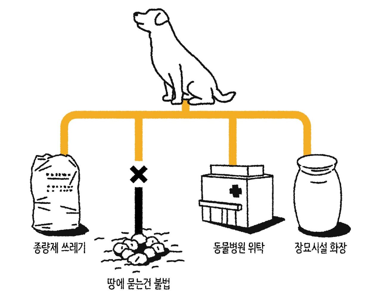 마부뉴스