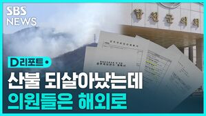 [D리포트] 산불 되살아났는데&hellip;군의원들은 외유성 해외연수