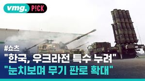 "한국, 우크라전 특수 누려" "눈치보며 무기 판로 확대"