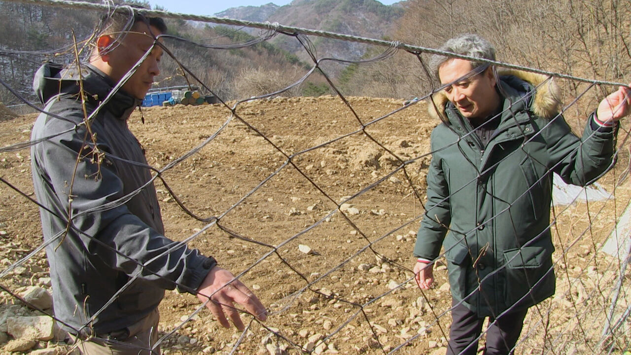 밭그물에 걸려 사고를 당한 멸종위기1급 산양