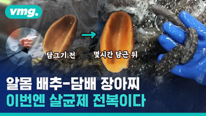 중국이 먹는 것 좀 안 건드리게 해 주세요. 전복 씻은 가루의 정체가 무려 '붕사'