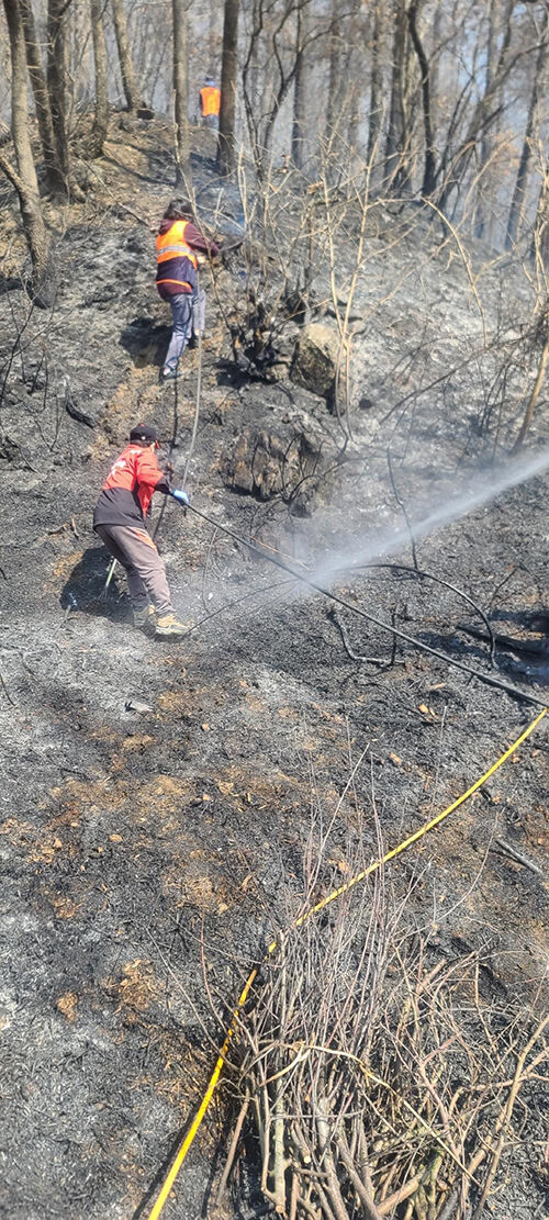 충북 제천 야산서 담배꽁초로 인해 발생한 화재 (사진=충북소방본부 제공, 연합뉴스)