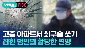 vmg. P!CK 고층 아파트서 쇠구슬 쏘기 잡힌 범인의 황당한 변명