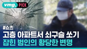 고층 아파트서 쇠구슬 쏘기 잡힌 범인의 황당한 변명