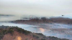 화천 산불 진화 재개 (사진=강원소방본부 제공, 연합뉴스)