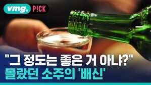 vmg. P!CK "그 정도는 좋은 거 아냐?" 몰랐던 소주의 '배신'