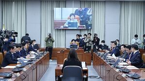 정개특위, '의원 300명 유지' 3개안 마련&hellip;전원위원회로