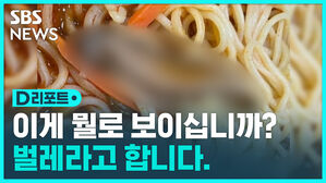 [D리포트] 이게 벌레라고?&hellip;황당한 배달앱 후기