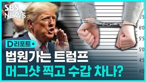 [D리포트] "트럼프, 4일 법원 출석&hellip;수갑 채워지지 않을 것"