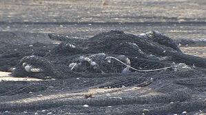 악취로 민원 속출…고성군, 마을 어구 건조장 구축 나서