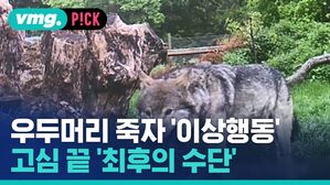 우두머리 죽자 이상행동 고심 끝 '최후의 수단'