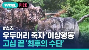 우두머리 죽자 이상행동 고심 끝 '최후의 수단'