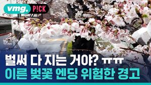 벌써 다 지는 거야? 이른 벚꽃 엔딩 위험한 경고