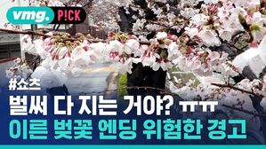벌써 다 지는 거야? 이른 벚꽃 엔딩 위험한 경고