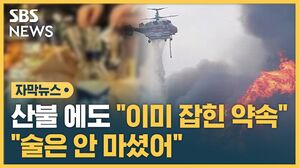 자막뉴스 도지사 산불