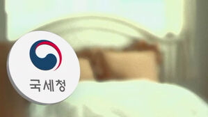 '가짜 이혼'으로 재산 숨겨&hellip;국세청, 악질 체납자 710명 추적