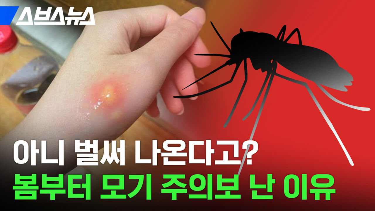 봄부터 시동 거는 모기…사실 우리가 부른 거라고?!