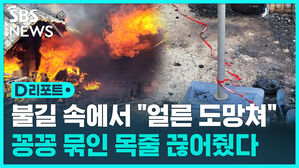 [D리포트] 불길 속에서 "얼른 도망쳐"&hellip;꽁꽁 묶인 목줄 끊어줬다
