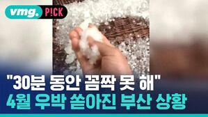 "30분 동안 꼼짝 못 해" 4월 우박 쏟아진 부산 상황