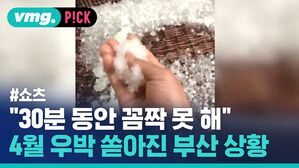 "30분 동안 꼼짝 못 해" 4월 우박 쏟아진 부산 상황