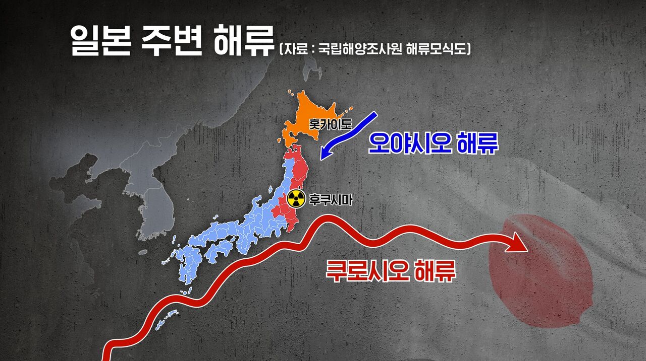 국내산 일본산 멍게 구분법 사실은 이경원