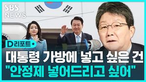 [D리포트] 유승민 "'방미' 윤 대통령 가방에 안정제 넣어드리고 싶다"