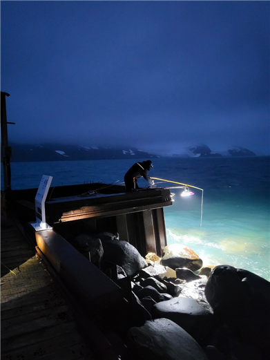 그림 1. 남극 어류를 채집하고 있는 김진형 책임연구원