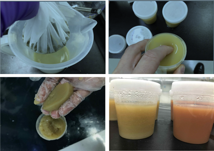 그림 5. 젤라틴을 이용한 극지 어류 섭식용 인공 배합 사료