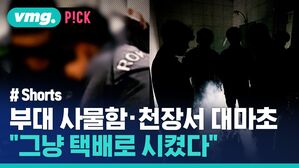 부대 사물함&middot;천장서 대마초 "그냥 택배로 시켰다"