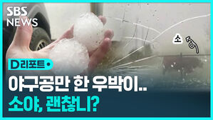 [D리포트] 야구공만 한 우박이 포탄처럼&hellip;소야, 괜찮니?