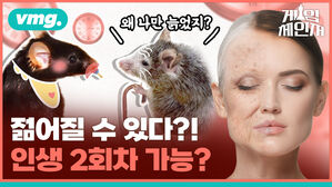 게임 vmg. 왜나만 늙었지 제인저 젊어질 수 있다?! 인생 2회차 가능?