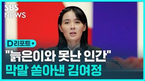 [D리포트] 김여정 바이든ㆍ윤 막말비난에, 통일부 "억지주장"