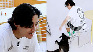 [SBS Star] "He Paid for Treatment" BTS V Looks After the Stray Dog in 'Jinny's Kitchen'