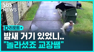 [D리포트] 니가 왜 거기서 나와&hellip;흑곰에 놀란 교장 선생님