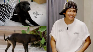 [SBS Star] It Turns Out BTS V Did Not Pay for 'Jinny's Kitchen' Stray Dog's Treatment