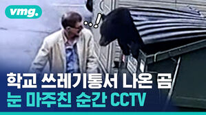 학교 쓰레기통서 나온 곰 눈 마주친 순간 CCTV