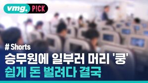 승무원에 일부러 머리 '쿵' 쉽게 돈 벌려다 결국