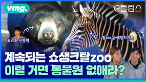 [E클립스] 탈출하고, 계속 돌고 부딪치고&hellip;동물들이 보내는 메시지 "동물원 꼭 필요할까요?"