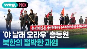 vmg. P!CK  '야 날래 오라우' 총동원 북한의 절박한 과업