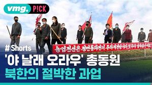 vmg. P!CK # Shorts  '야 날래 오라우' 총동원 북한의 절박한 과업