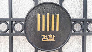 이틀간 10대 여학생 연쇄 성폭행 고교생 구속기소