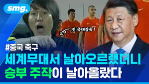 세계무대서 날아오르랬더니 승부 주작이 날아올랐다