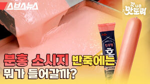 스브스뉴스 갓 나온 맛도리 분홍 소시지 반죽에는 뭐가 들어갈까?