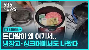 [D리포트] "왜 돈을 여기에&hellip;" 밥솥에 돈 숨긴 장물업자